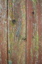 Old fence made of wooden planks, in the style of rustic, grunge, worn gray-green color with nails Royalty Free Stock Photo