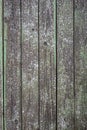 Shabby old grey-brown fence, abandoned and forgotten, a background of wooden planks, in the style of rustic, grunge, old fashion Royalty Free Stock Photo