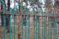 An old fence. The picture of decorative iron fence. metal fence close.