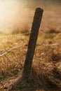 Old fence pole with barbed and electrical wire for livestock during sunset over a pasture Royalty Free Stock Photo