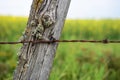 Old Fence Post and Barbed Wire Royalty Free Stock Photo