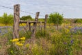 Old fence post and barbed wire surrounded with wildflowers Royalty Free Stock Photo