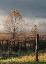 Old Fence Post in Foggy Valley Royalty Free Stock Photo