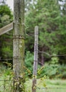 Old Fence post Royalty Free Stock Photo