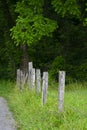 Old Fence Posts In The Smoky Mountains