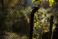 Old fence. Rusty steel mesh. Fence in garden Royalty Free Stock Photo