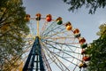 Old Ferris wheel and spring park Royalty Free Stock Photo