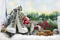 Winter holidays concept Royalty Free Stock Photo