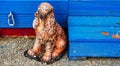 Old figurine of a dog, figurine with blue wooden stairs, English