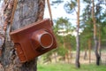 Old film camera hanging on a leather belt on a tree Royalty Free Stock Photo