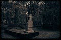 The old film photo depicts a creepy grave cross standing in the middle of a overgrown cemetery surrounded by trees in the twilight