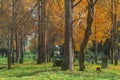 Old finnish cemetery.