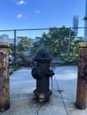 Old Fire Hydrant, NY, USA Royalty Free Stock Photo