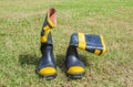 Fireman boots on grass background Royalty Free Stock Photo