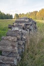 Old firewood stacked on the grass. Autumn forest in the background. Nature protection concept. Selective focus. Royalty Free Stock Photo