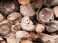 Old firewood, stacked in a pile. Wood texture Royalty Free Stock Photo