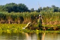 Old fisherman gathering nets in Danube Delta Romania. Traditional fishing .