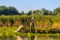 Old fisherman gathering nets in Danube Delta Romania. Traditional fishing .