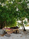 old fisherman\'s boat under trees on the beach