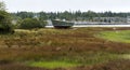 Old fishing boat decaying on grass on Vinalhaven Island Maine Royalty Free Stock Photo