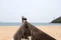 Old fishing boat standing on the sandy beach. India, Goa Royalty Free Stock Photo