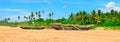 Old fishing boats on a sandy beach against the backdrop of palm trees and the sky. Wide photo Royalty Free Stock Photo