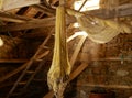 Old fishing gear and rigging hang out to dry in a dark makeshift stone shed. Fishing nets, mooring ropes, a winch, on a wooden Royalty Free Stock Photo