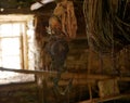 Old fishing gear and rigging hang out to dry in a dark makeshift stone shed. Fishing nets, mooring ropes, a winch, on a wooden Royalty Free Stock Photo