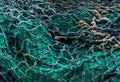 Old Fishing Nets at a Coastal Harbour Close Up Royalty Free Stock Photo