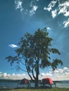 Old fishing rowing boat stacked upside down under tree at lake Royalty Free Stock Photo