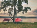 Old fishing rowing boat stacked upside down under tree at lake Royalty Free Stock Photo