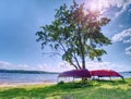 Old fishing rowing boat stacked upside down under tree at lake Royalty Free Stock Photo