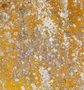 Old flat weathered stone with lichen. Background texture overlay Royalty Free Stock Photo