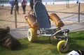 Old floating beach wheelchair at the shore Royalty Free Stock Photo