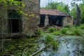 Old flooded overgrown ruined abandoned forsaken building among bog