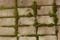 Stonework, stone texture, bricking, road. Royalty Free Stock Photo