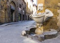 Old florence fountain Royalty Free Stock Photo