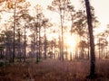 Old Florida sunrise Royalty Free Stock Photo