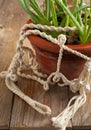 Old flower pot in macrame pot holders Royalty Free Stock Photo