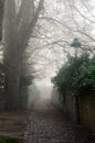 Old foggy street