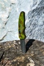 Close-up of an old folding army knife on a wooden surface background Royalty Free Stock Photo