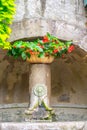 Old Fontaine whit Plants in the Castle of Foix, Cathar country, Ariege, Midi pyrenees, France