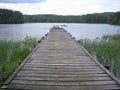 Old foot-bridge Royalty Free Stock Photo