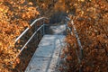 Old foot bridge in autumn forest Royalty Free Stock Photo