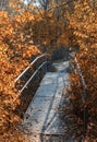 Old foot bridge in autumn forest Royalty Free Stock Photo