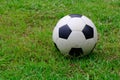 Old football on the grass field.