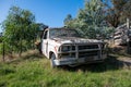 Old Ford F150 in a paddock.