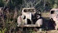 Old Ford Truck Rust Graveyard