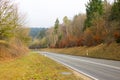 Old forest and a flat road in the abstract foreshortening