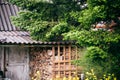 Old forest hunter`s house with harvested wood.